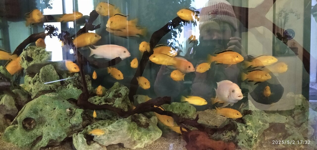 Гостиница Николь Волоколамск-81