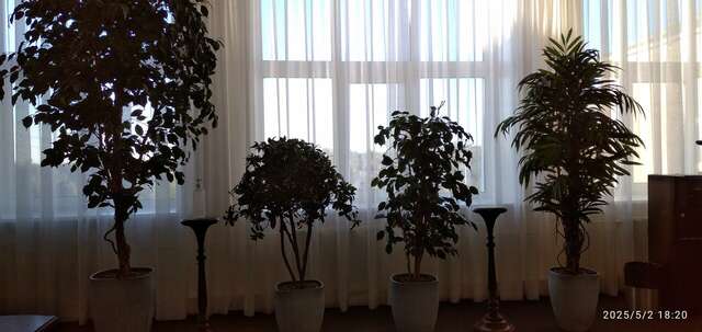 Гостиница Николь Волоколамск-105